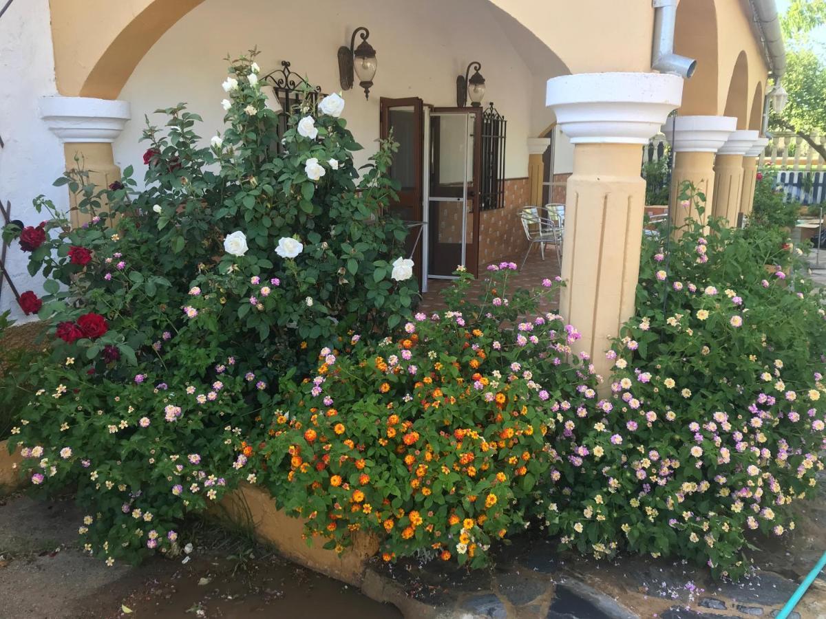 Finca La Rosalía Setenil De Las Bodegas Exterior foto